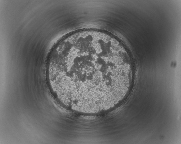 X0000110891027200907301537