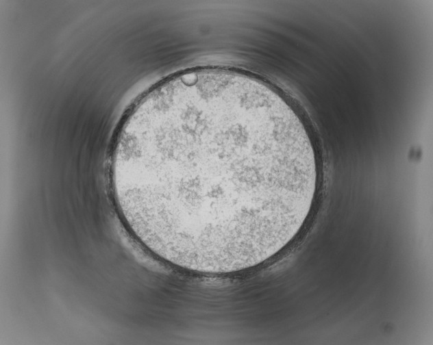 X0000110891029200907301537