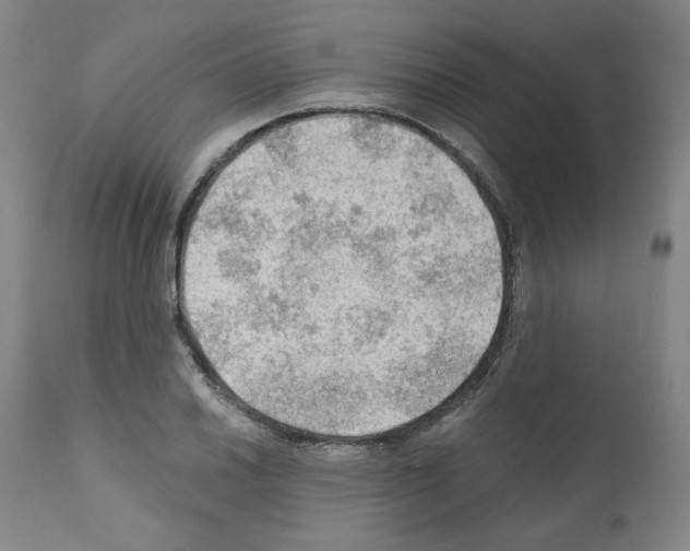 X0000110891030200907301537