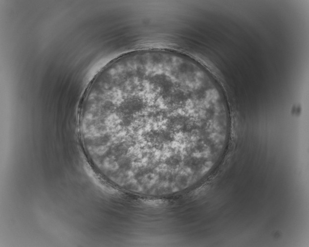 X0000110891031200907301537