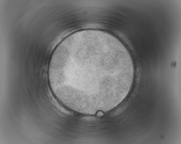 X0000110891033200907301537