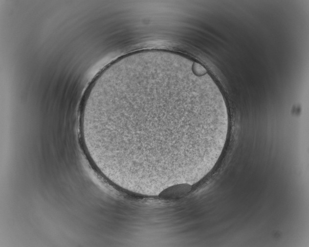 X0000110891034200907301537