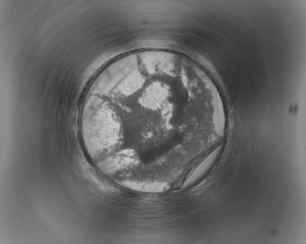 X0000110891035200907301537