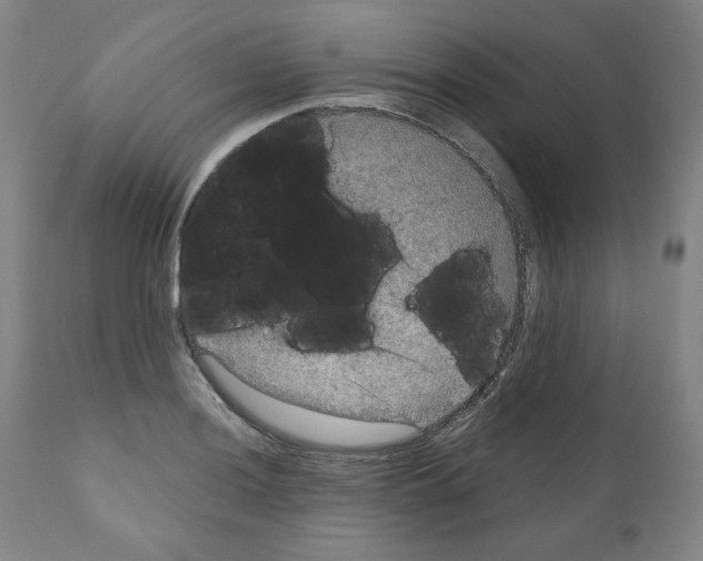 X0000110891036200907301537