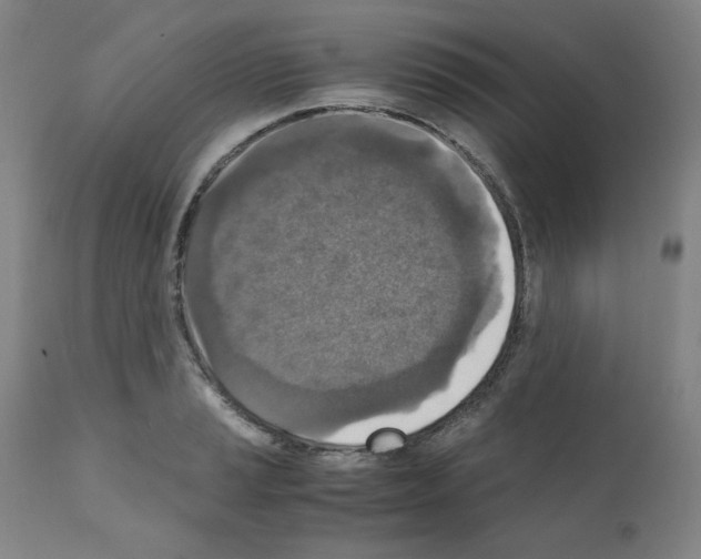 X0000110891037200907301537