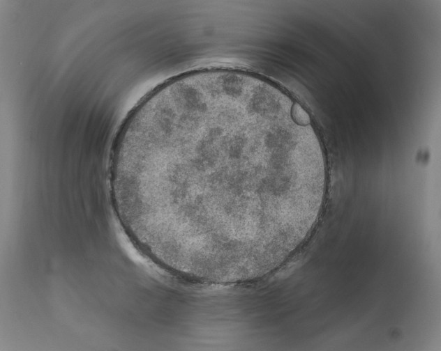 X0000110891038200907301537