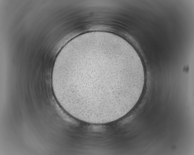X0000110891041200907301537