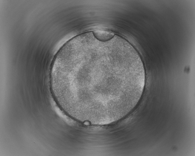 X0000110891042200907301537