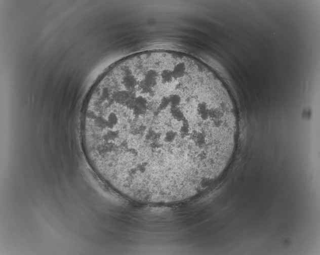 X0000110891043200907301537