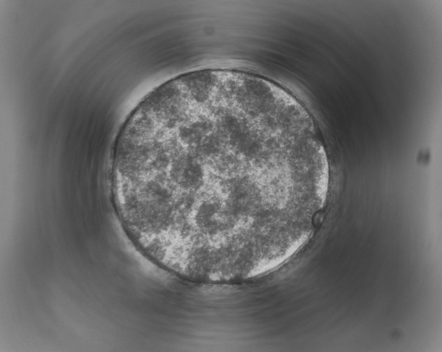 X0000110891046200907301538