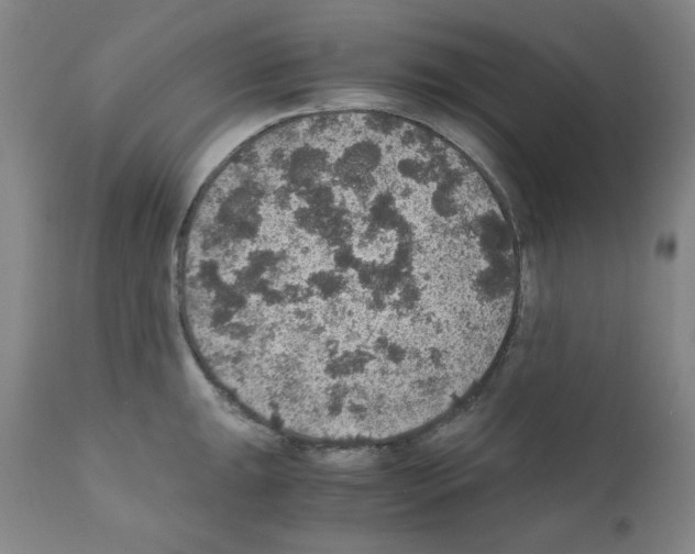 X0000110891047200907301538