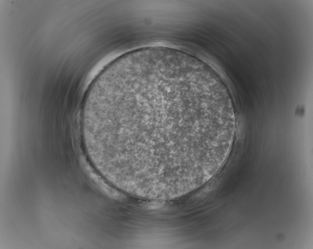 X0000110891048200907301538