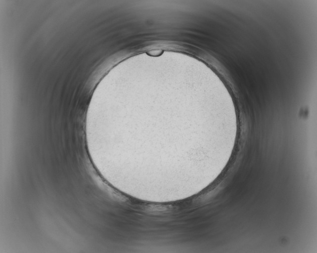 X0000110891049200907301538