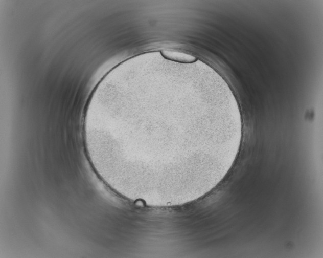 X0000110891050200907301538