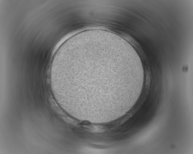 X0000110891052200907301538
