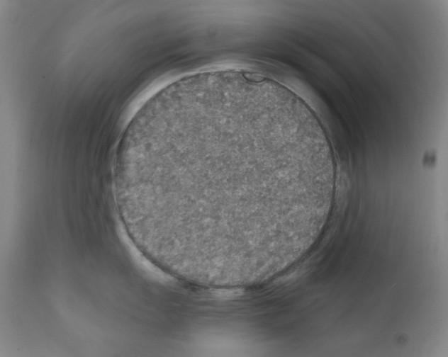 X0000110891055200907301538