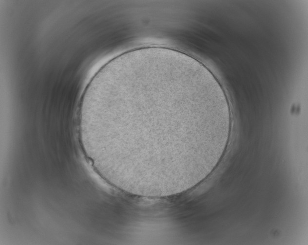 X0000110891056200907301538