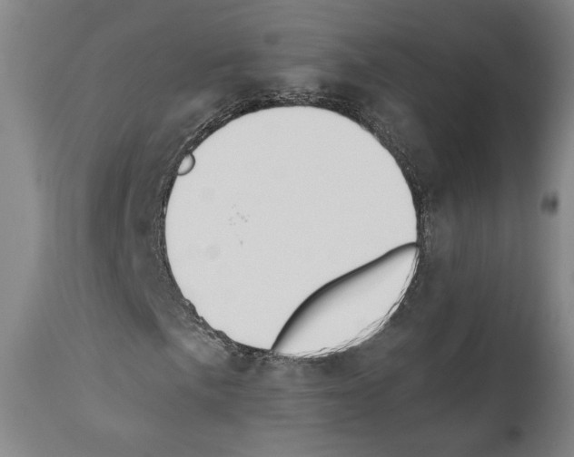 X0000110891057200907301537