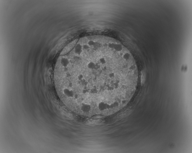 X0000110891059200907301537