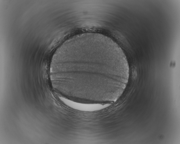 X0000110891060200907301537
