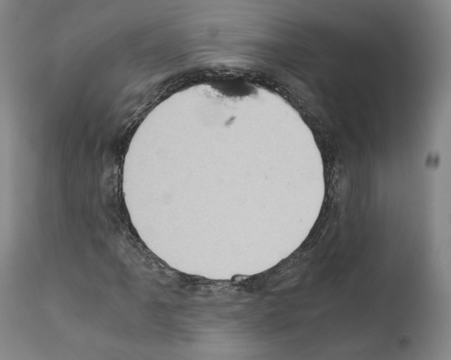 X0000110891061200907301537
