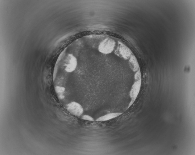 X0000110891063200907301537