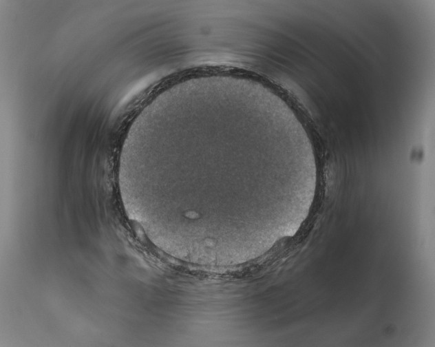 X0000110891064200907301537