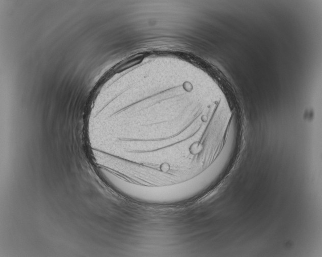 X0000110891065200907301537