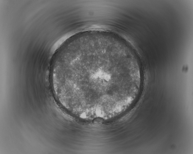 X0000110891066200907301537