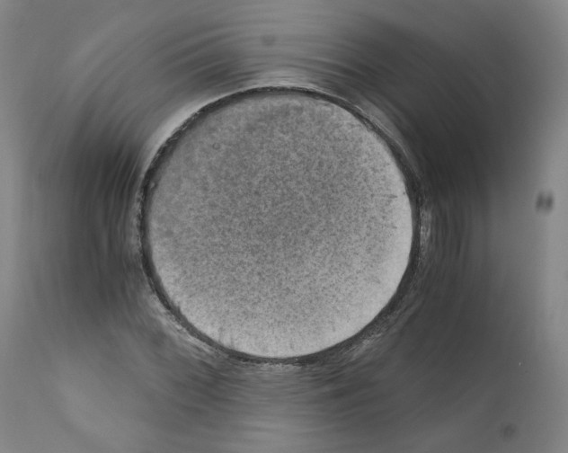 X0000110891068200907301537
