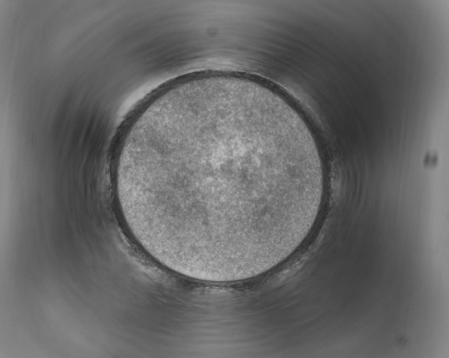 X0000110891070200907301537