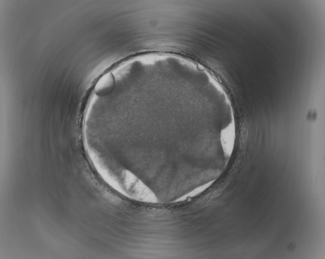 X0000110891071200907301537