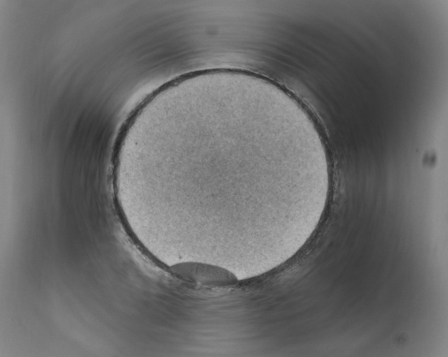 X0000110891072200907301537