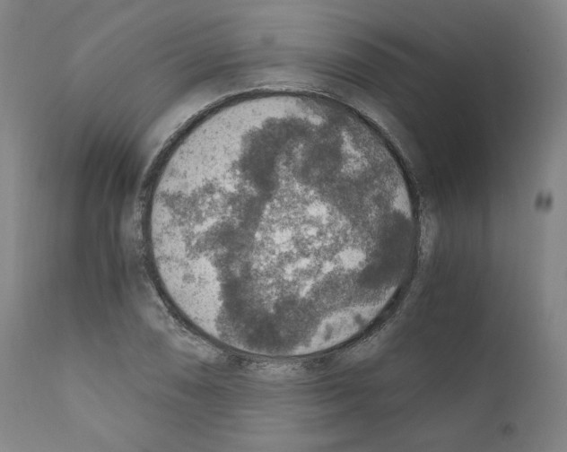 X0000110891074200907301537