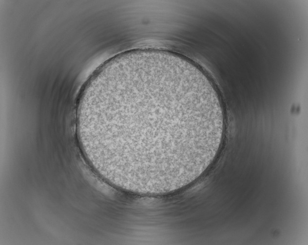 X0000110891075200907301537