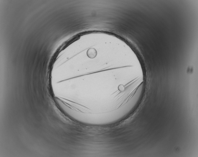 X0000110891077200907301537