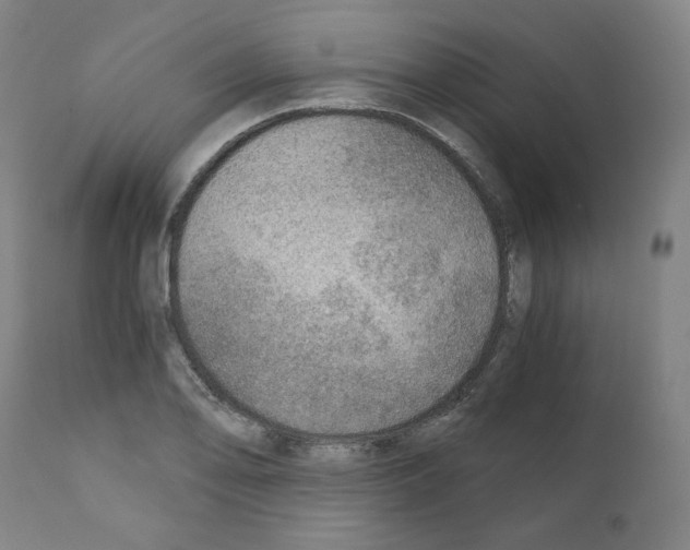 X0000110891078200907301537