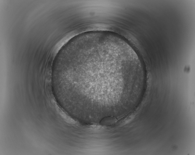 X0000110891081200907301536