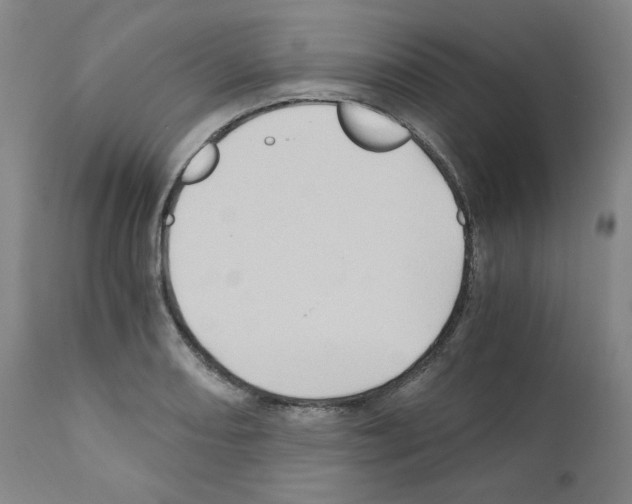 X0000110891082200907301536