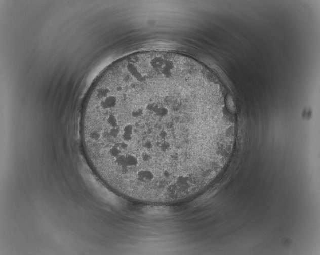 X0000110891083200907301536