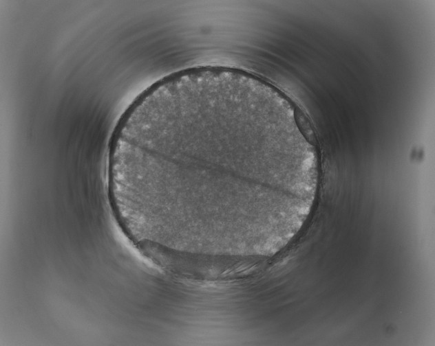 X0000110891084200907301536