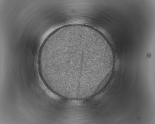 X0000110891086200907301536