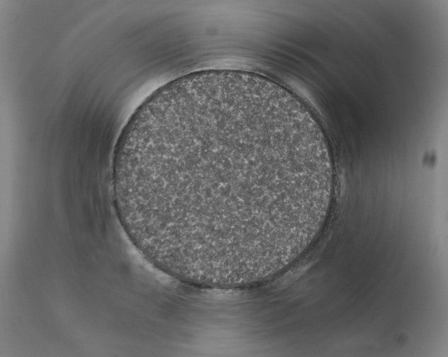 X0000110891087200907301536