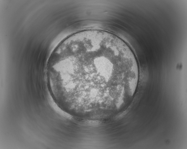 X0000110891090200907301536