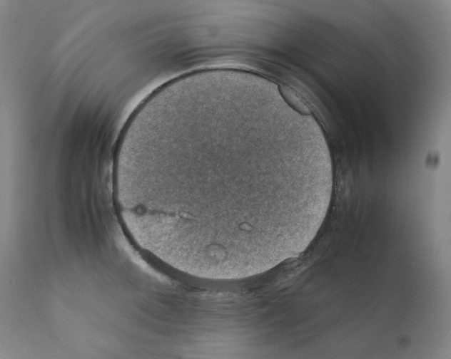 X0000110891092200907301536