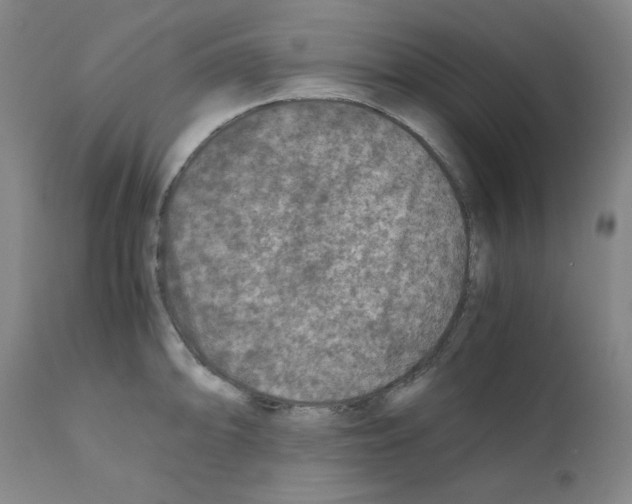 X0000110891094200907301536
