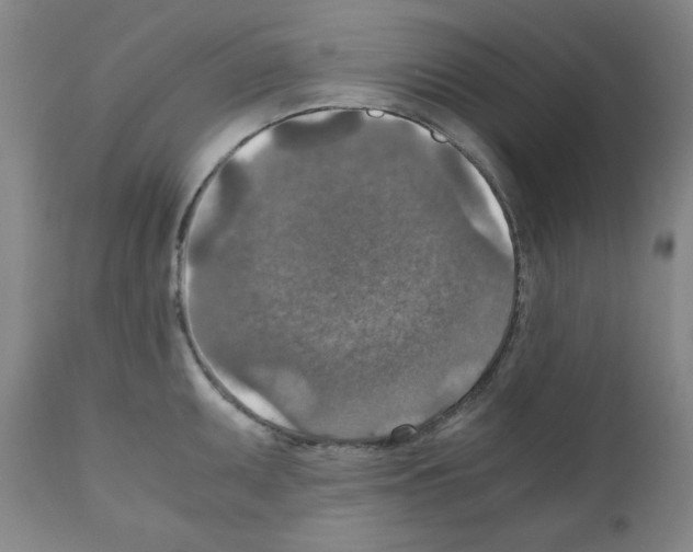 X0000110891095200907301536
