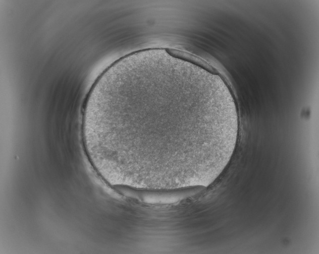 X0000110891096200907301536