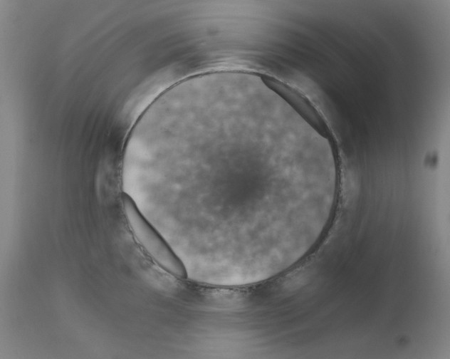 X0000110891097200907301536