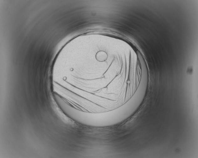 X0000110891098200907301536